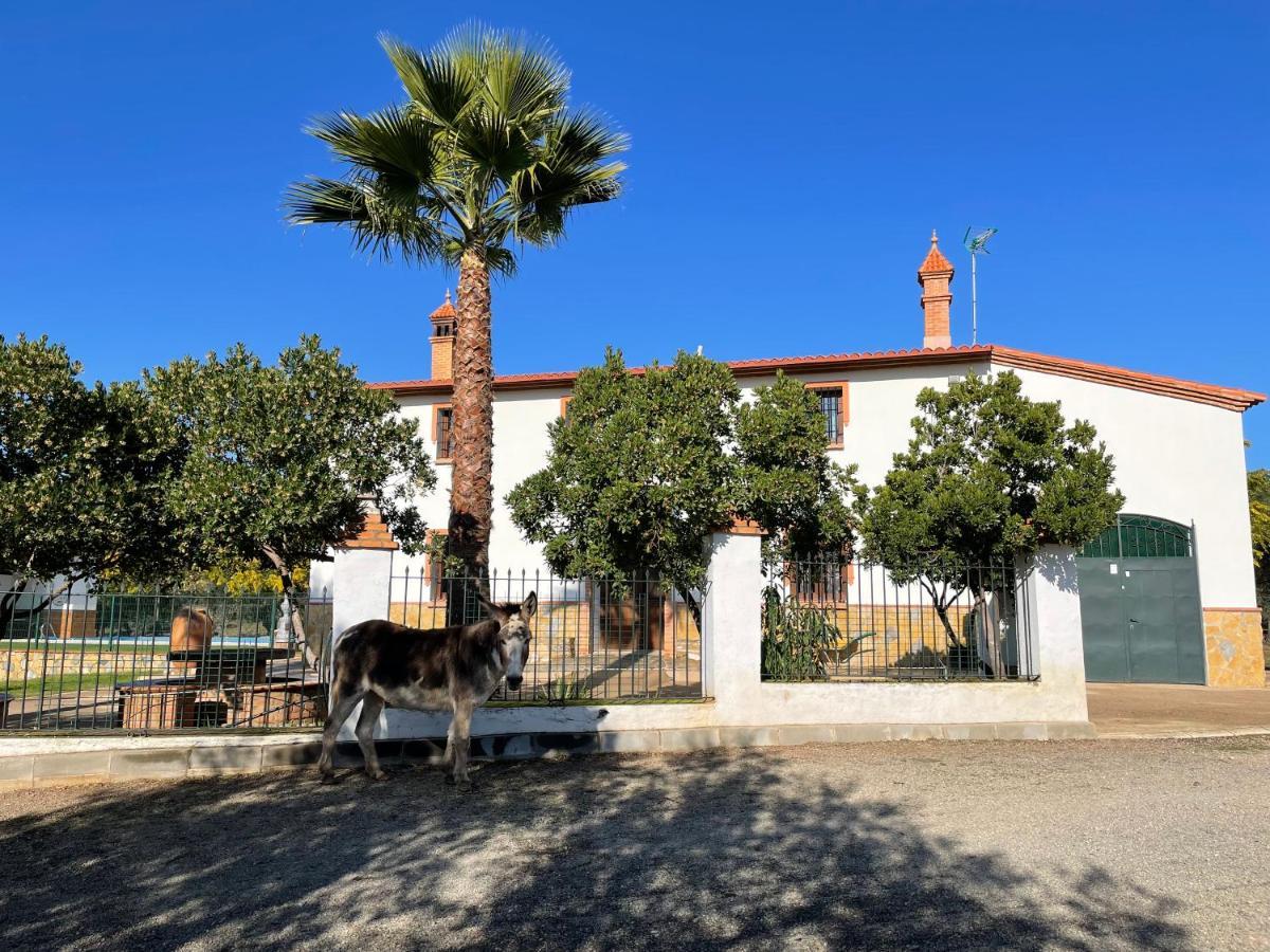 ארקנה Casa Rural La Galvana מראה חיצוני תמונה