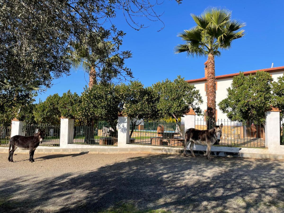 ארקנה Casa Rural La Galvana מראה חיצוני תמונה